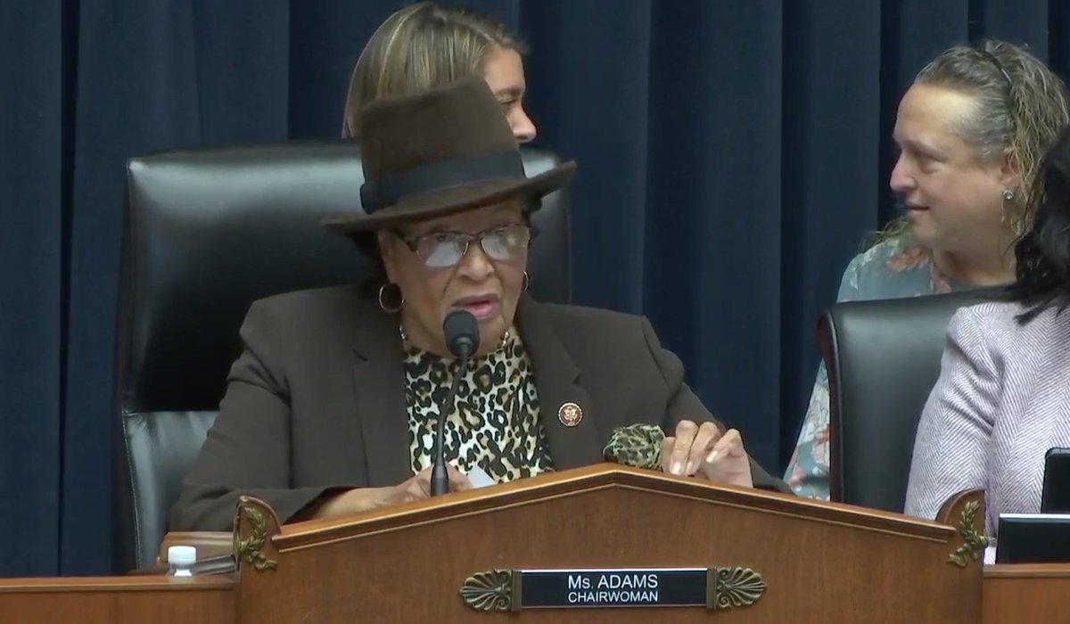 Chairwoman Alma Adams sits in the hearing room and opens up the hearing on paid sick leave.
