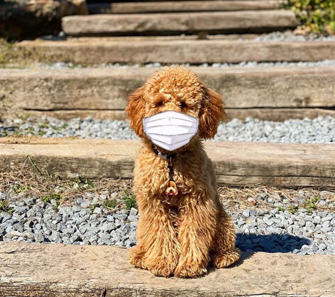 Coronavirus- Covid19 
We have implemented that all patients disinfect hands before entering and exiting the building. If you have symptoms of covid19 please contact your GP. Let’s stop the spread of Covid 🙌🏻