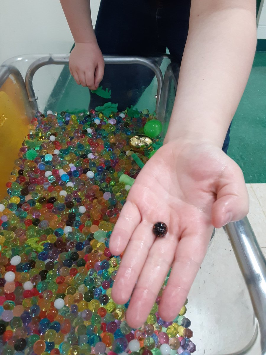 KristiGeno_OT's tweet photo. Orbeez and marbels make for a pretty exciting seek and find sensory experience! #SensoryFUN #baisdOT #baisdchampion https://t.co/u7oGHjEs0A