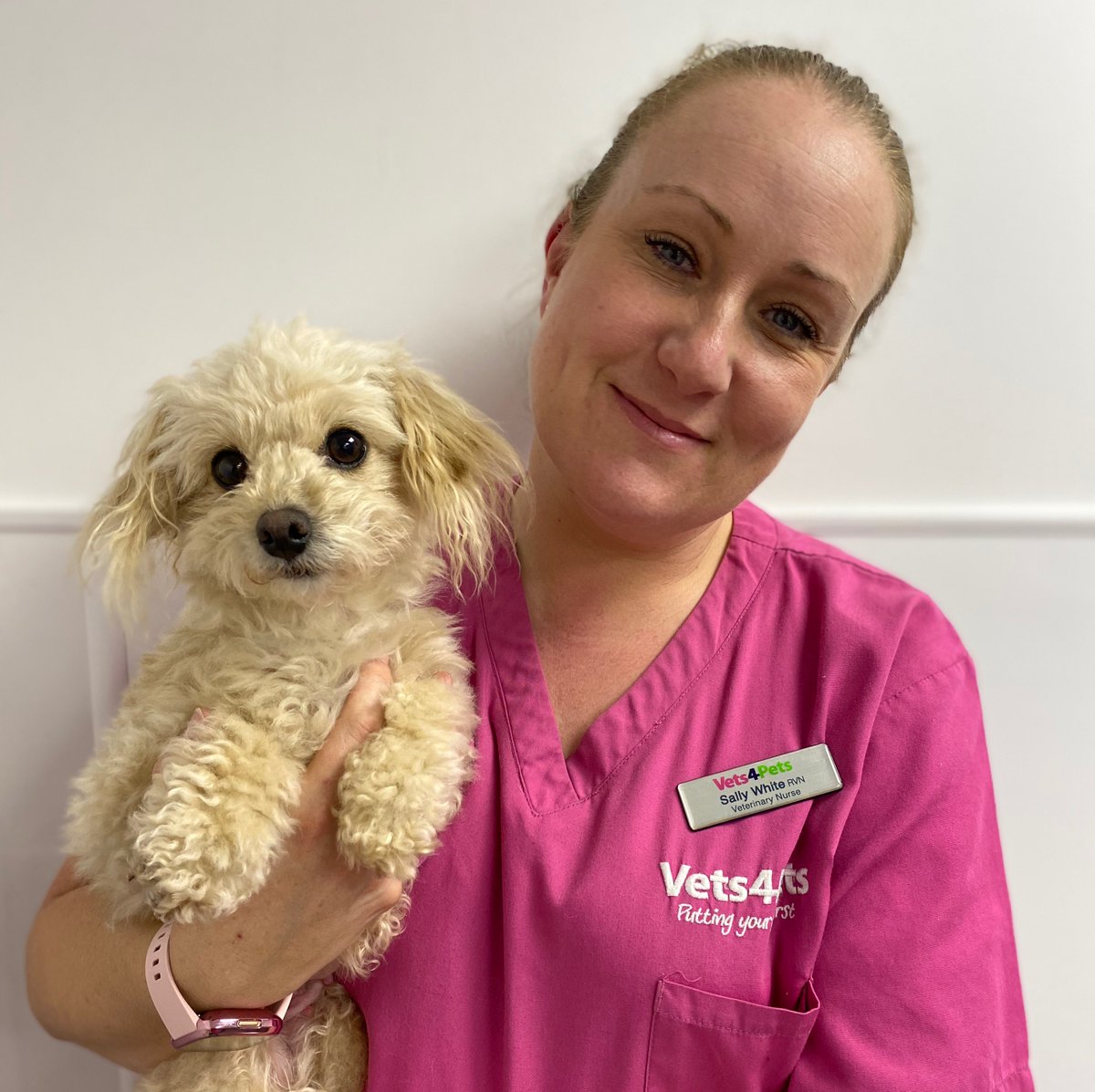 Gorgeous Daisy and RVN Sally after her spay and hernia repair! 

🐶🐾

#barnsleyvets4pets #vets4pets