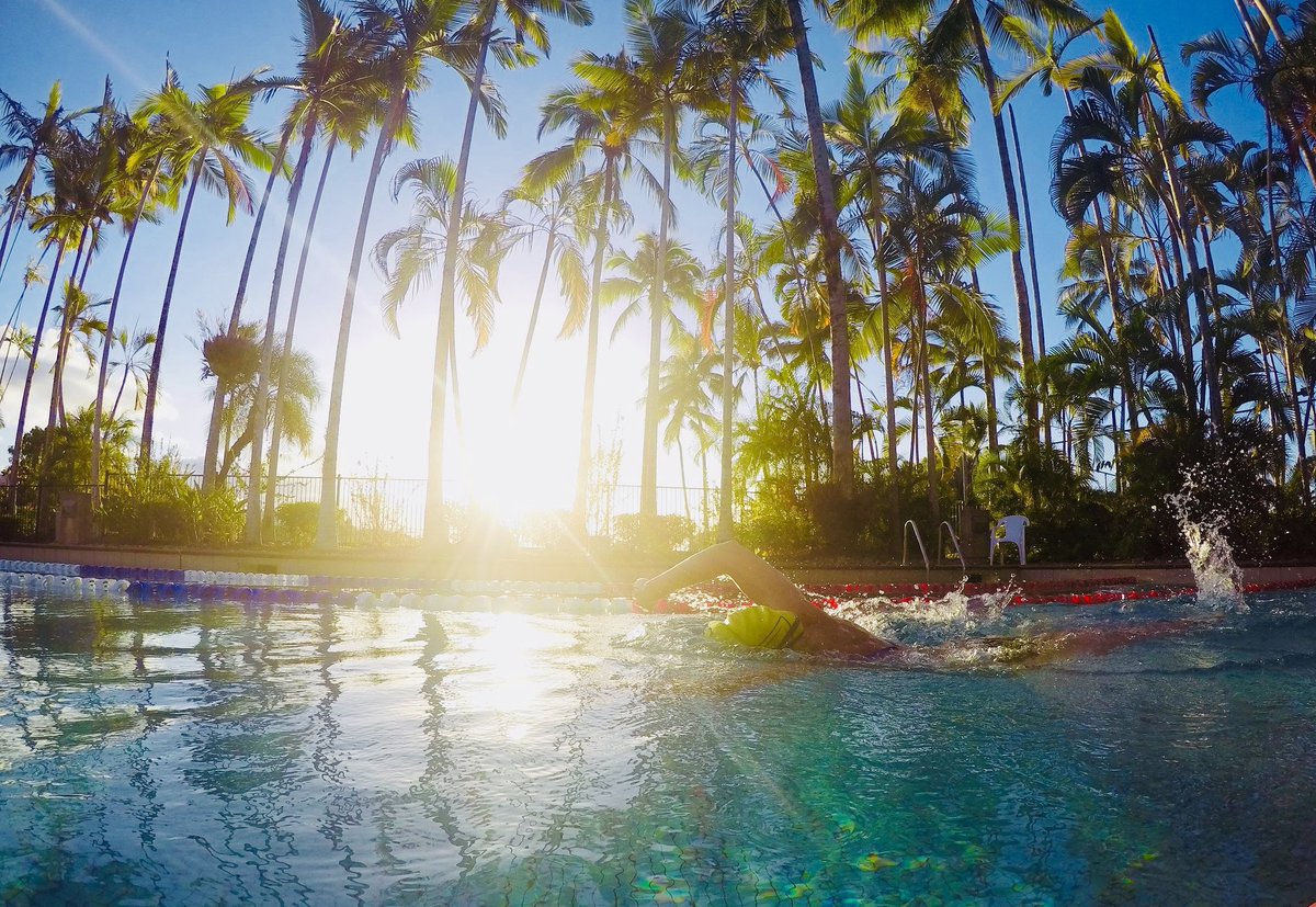 sjacksonhorner's tweet photo. Let's be honest, IF ONLY this was my pool this morning BUT any swim day is a great day. π
@AquaSphereUK @MPMichaelPhelps #trueswimmer #swimday #tribabes #palm #portdouglas https://t.co/hT3GLmB2Kj