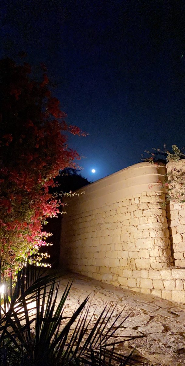 محمد بن سلطان الدويش على تويتر: أتمنى أن يكون الليالي بدرا في وادي حنيفة بالدرعية الرياعية، https://t.co/Fzjazeo3sy