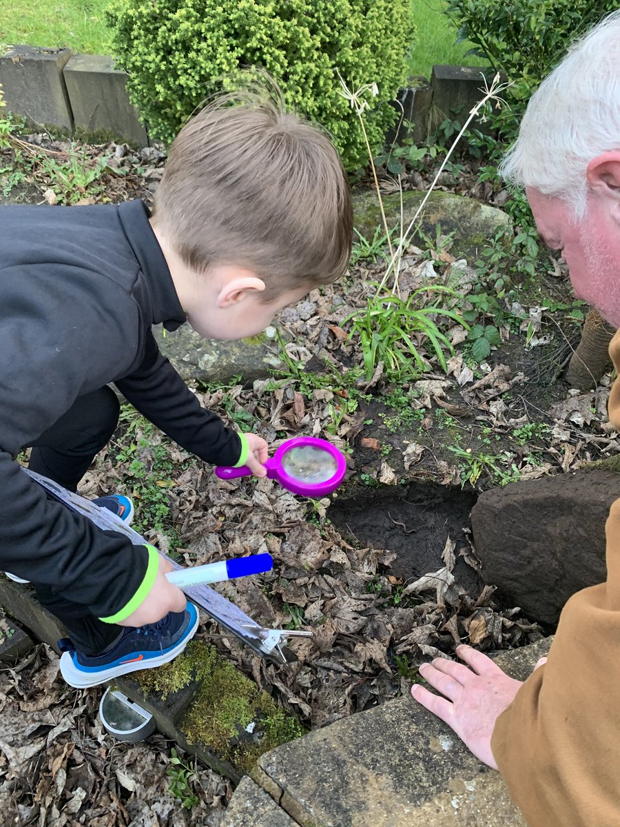 Marnie82302058's tweet photo. @PCPPenguins Ewan had lots of fun doing his home learning bag tonight finding all the bugs in the back garden with his dad marlin and grandad 🐌🦋🐛🐜@roccopw82 https://t.co/7udR3NZHsA
