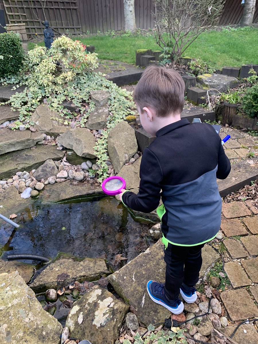 Marnie82302058's tweet photo. @PCPPenguins Ewan had lots of fun doing his home learning bag tonight finding all the bugs in the back garden with his dad marlin and grandad 🐌🦋🐛🐜@roccopw82 https://t.co/7udR3NZHsA