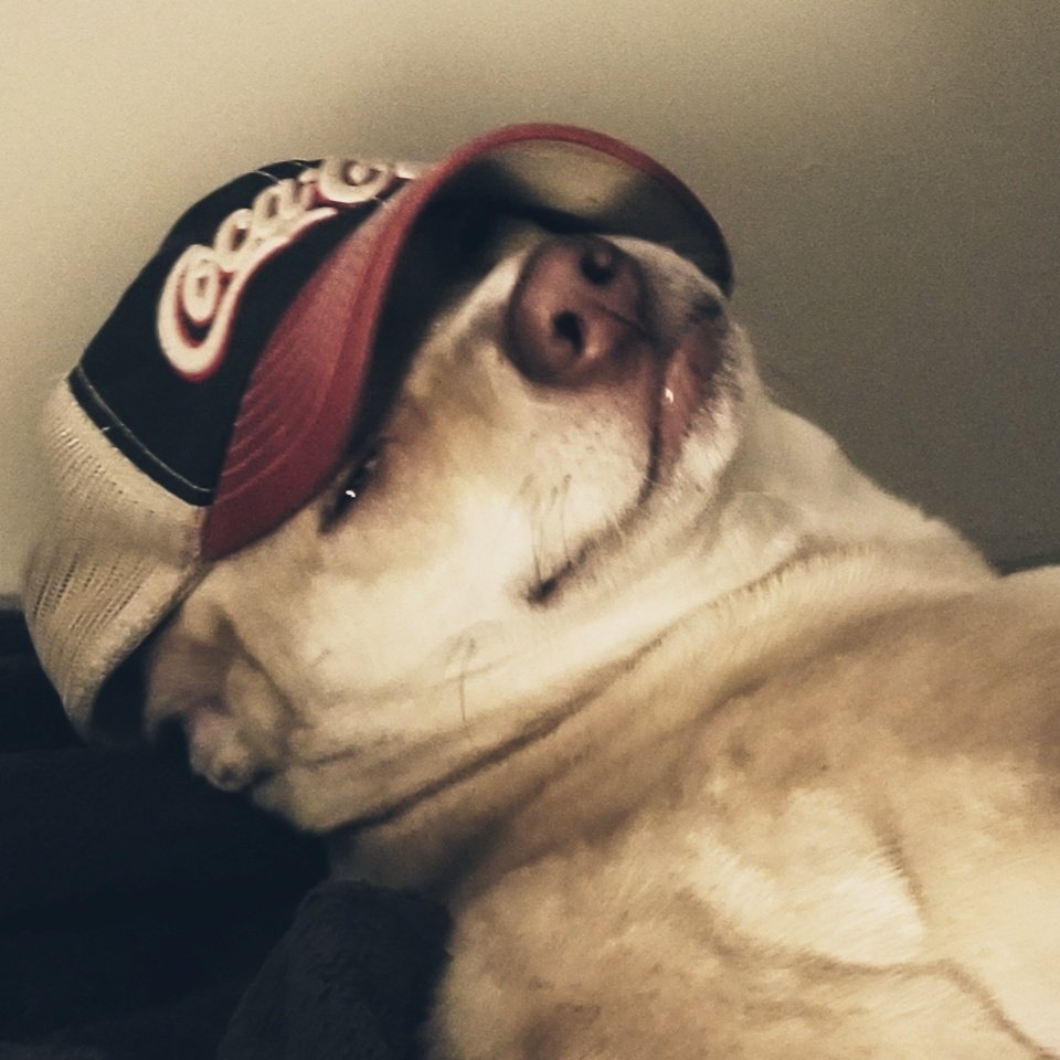 Kraggfnord's tweet photo. #NewProfilePic https://t.co/pl6q2y4RRO