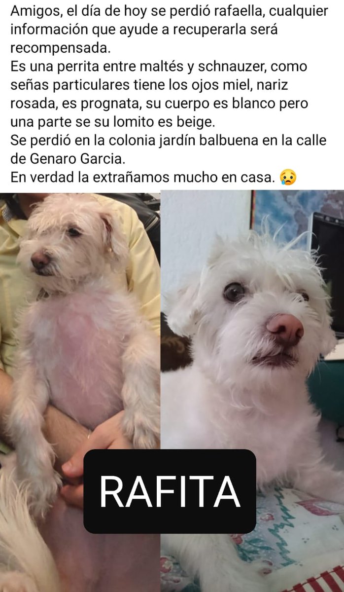 marifer_aispuro's tweet photo. Porfavor compartan, se los agradecería demasiado https://t.co/jAI7KO5lBf