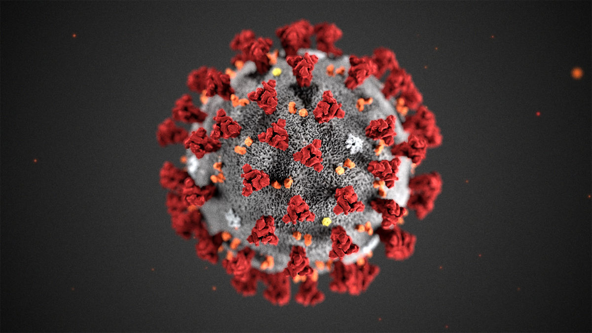 TheOnion's tweet photo. Best Methods For Staying Safe From Coronavirus https://t.co/CTOO2weS6J https://t.co/73xiKXIfOn