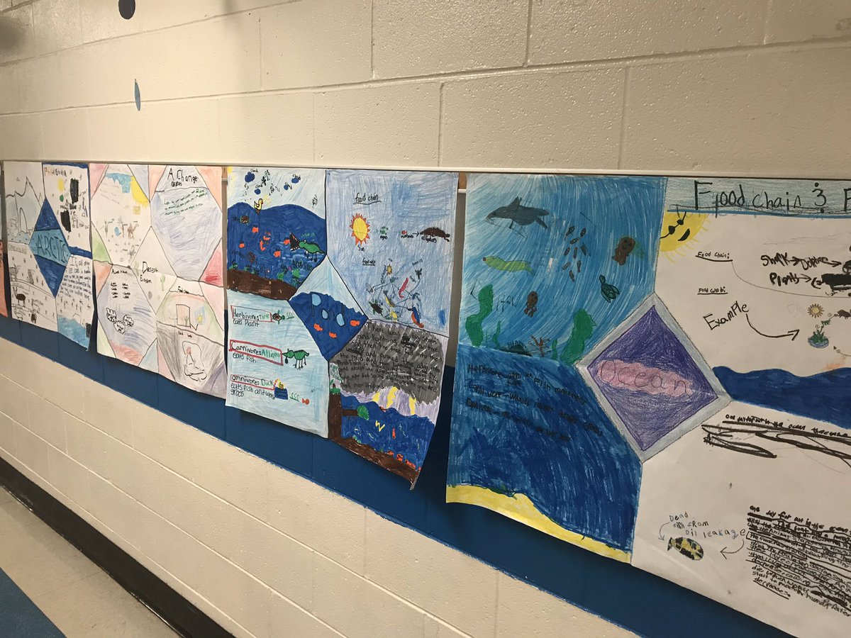 MrPatrickHopper's tweet photo. Hard work @MESBlueDevils right up to the end of the day! Great job Mrs Kight’s class! #wearemodel https://t.co/5Te9CEpumo