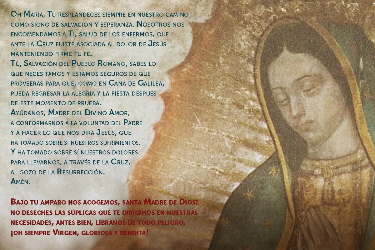 Pontifex266_es's tweet photo. Bajo tu amparo nos acogemos, santa Madre de Dios; no deseches las súplicas que te dirigimos en nuestras necesidades, antes bien, líbranos de todo peligro, ¡oh siempre Virgen, gloriosa y bendita! https://t.co/F3zNJtebOd