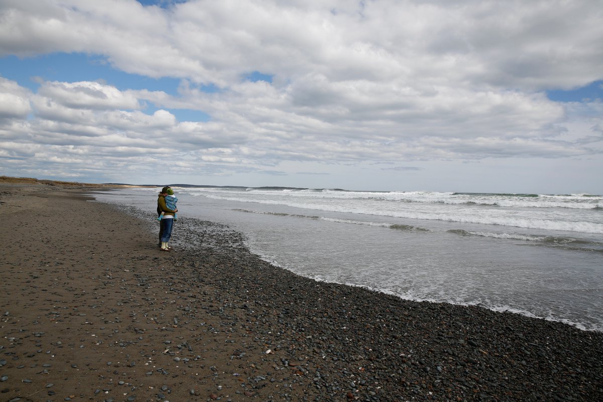 nseducation's tweet photo. Education for sustainability is part of the curriculum in Nova Scotia schools, starting in grade 2 science. Want to know more about what students are learning, and what teachers are teaching? Check out our new curriculum website: https://t.co/hFYUGNkiUl https://t.co/h1y2Rk46Bm