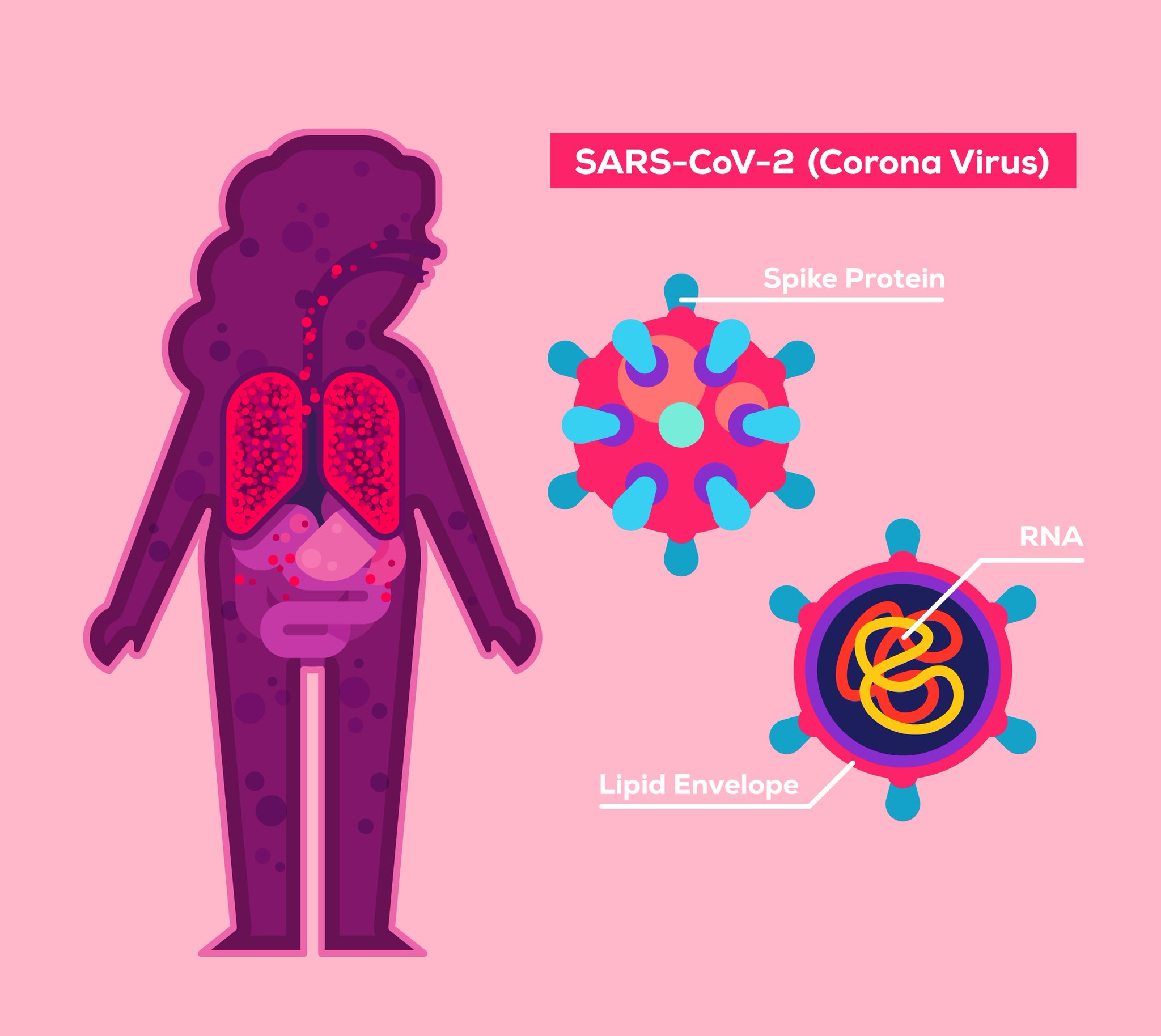 IS THAT A SUS VIRUS?!?!?! KURZGESAGT IS VERY SUS : r/amogus