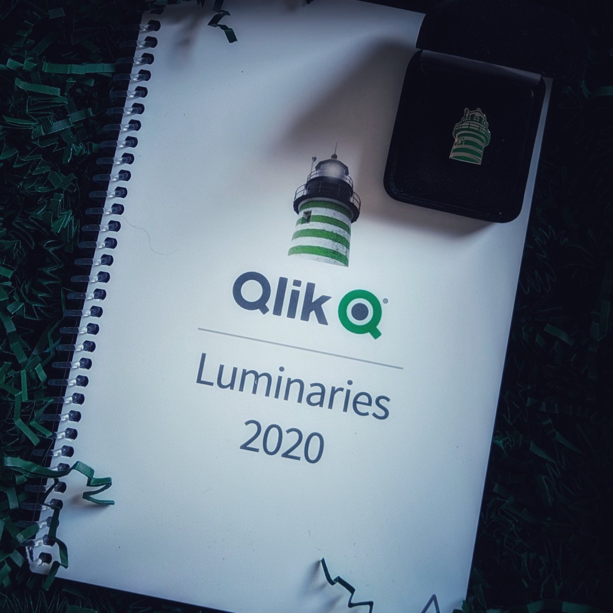 After being held hostage by Customs Services for a couple of days, Green Santa arrived today. Thank you <a href="/CarolynDavis06/">Carolyn Davis</a>, @FarquharFTW and @Qlik! Happy to be part of the program! #QlikLuminary