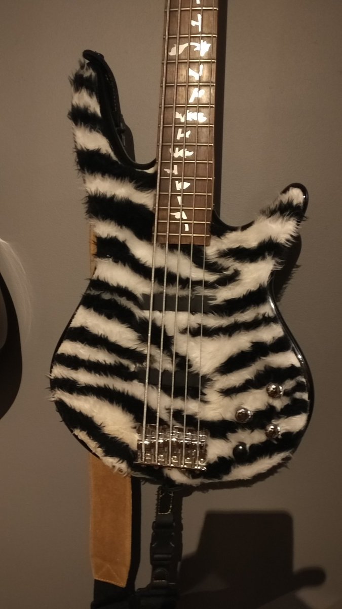 PeteonBass's tweet photo. This is a picture of my furry bass guitar. That is all https://t.co/BmjONUOyke