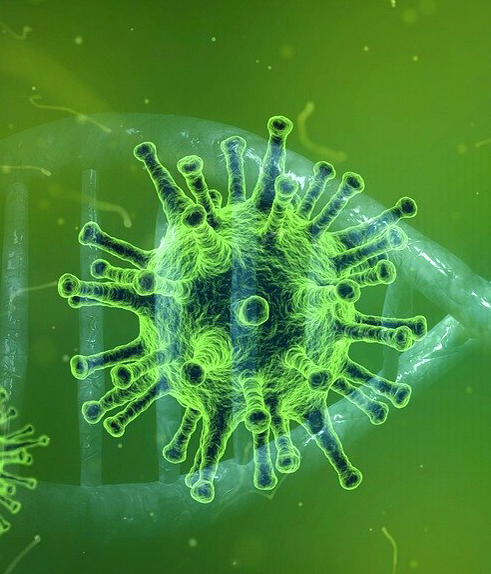 If you have epilepsy or look after someone with epilepsy, you may be concerned about what the recent #coronavirus outbreak means for you. We have provided information on our website on coronavirus and what you need to know if you have epilepsy. ow.ly/cTSm50yINCc #epilepsy