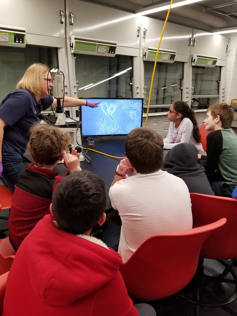 kateprichards's tweet photo. 5th grade Ss @jcdsps learned so much about our water supply and waste water treatment today thanks to Fox Metro!! https://t.co/UJ0qFIgvEH