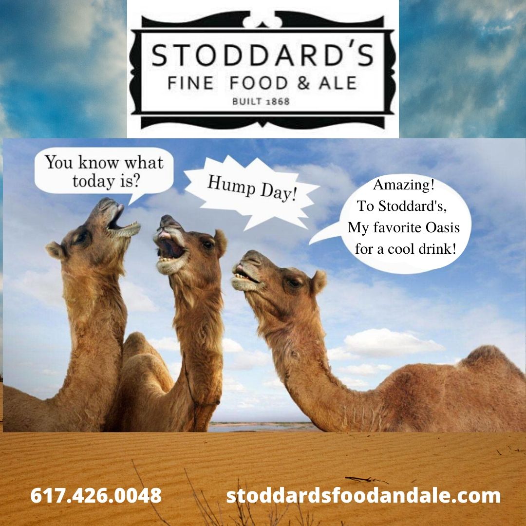 Stoddardspub tweet media