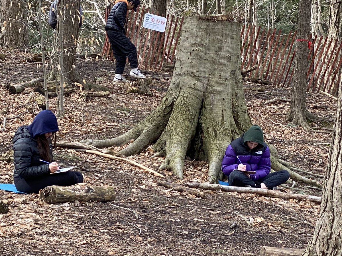 ForestValleyOEC's tweet photo. @WesternTech_HS #NAC10 students drawing their interpretations of #maplemoon while quietly reflecting in the forest.   @TOES_TDSB #oememories https://t.co/vmMvHA5lFL