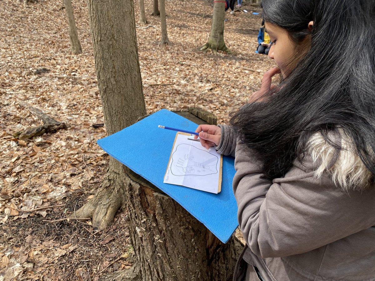 ForestValleyOEC's tweet photo. @WesternTech_HS #NAC10 students drawing their interpretations of #maplemoon while quietly reflecting in the forest.   @TOES_TDSB #oememories https://t.co/vmMvHA5lFL