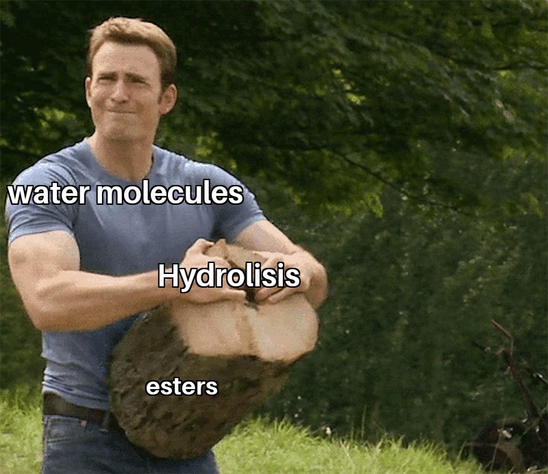 ScienceMemes6's tweet image. 