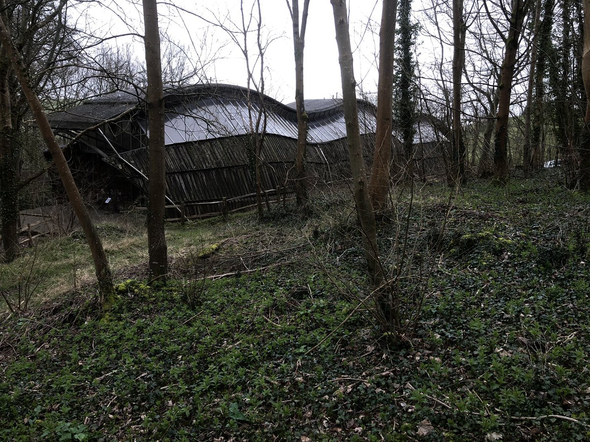 Meredith Bowles. tweet media