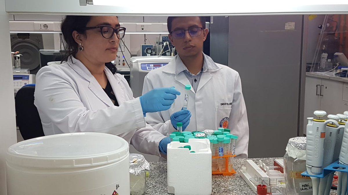 CEspinozaQ's tweet photo. Científicos UdeC desarrollan prototipo antiviral en base a interferones para evitar contagio y propagación de coronavirus. Probado con éxito en cerdos. Ahora viene etapa en humanos. Necesitan $2 millones de dólares. En estado de Pandemia inhalador estaría en 6 meses @Cooperativa https://t.co/Vruy0Uv5Dp