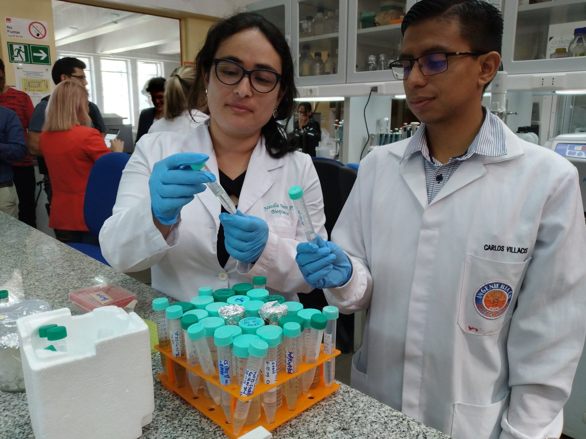 Científicos UdeC desarrollan prototipo antiviral en base a interferones para evitar contagio y propagación de coronavirus. Probado con éxito en cerdos. Ahora viene etapa en humanos. Necesitan $2 millones de dólares. En estado de Pandemia inhalador estaría en 6 meses <a href="/Cooperativa/">Cooperativa</a>