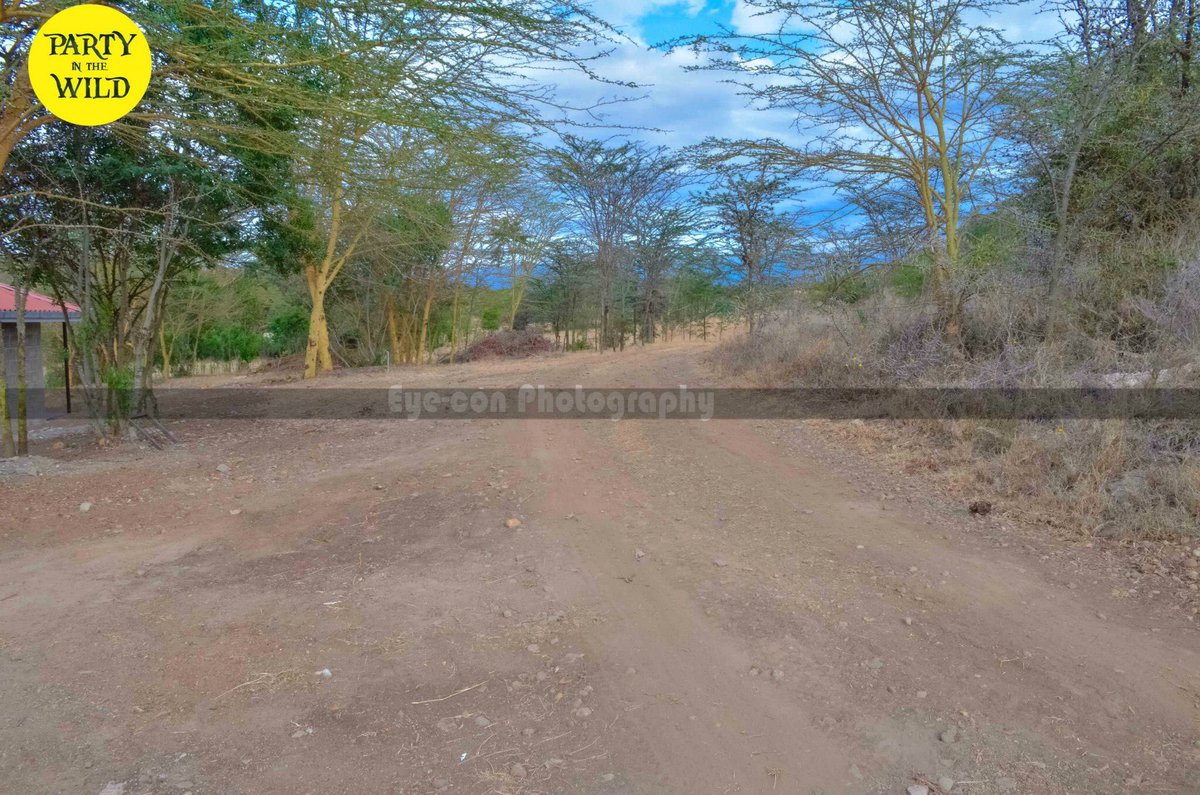 PartyInTheWild's tweet photo. Behold, the path to the party of the decade happening in the wild, amidst the fresh atmosphere covered with green nature! Welcome to Storms Resort, Nanyuki the venue for the 3-day #PITW2020 happening from April 10th till 12th.
Visit https://t.co/4rwdBGCxfG for early bird tickets. https://t.co/URQXXHJEXL