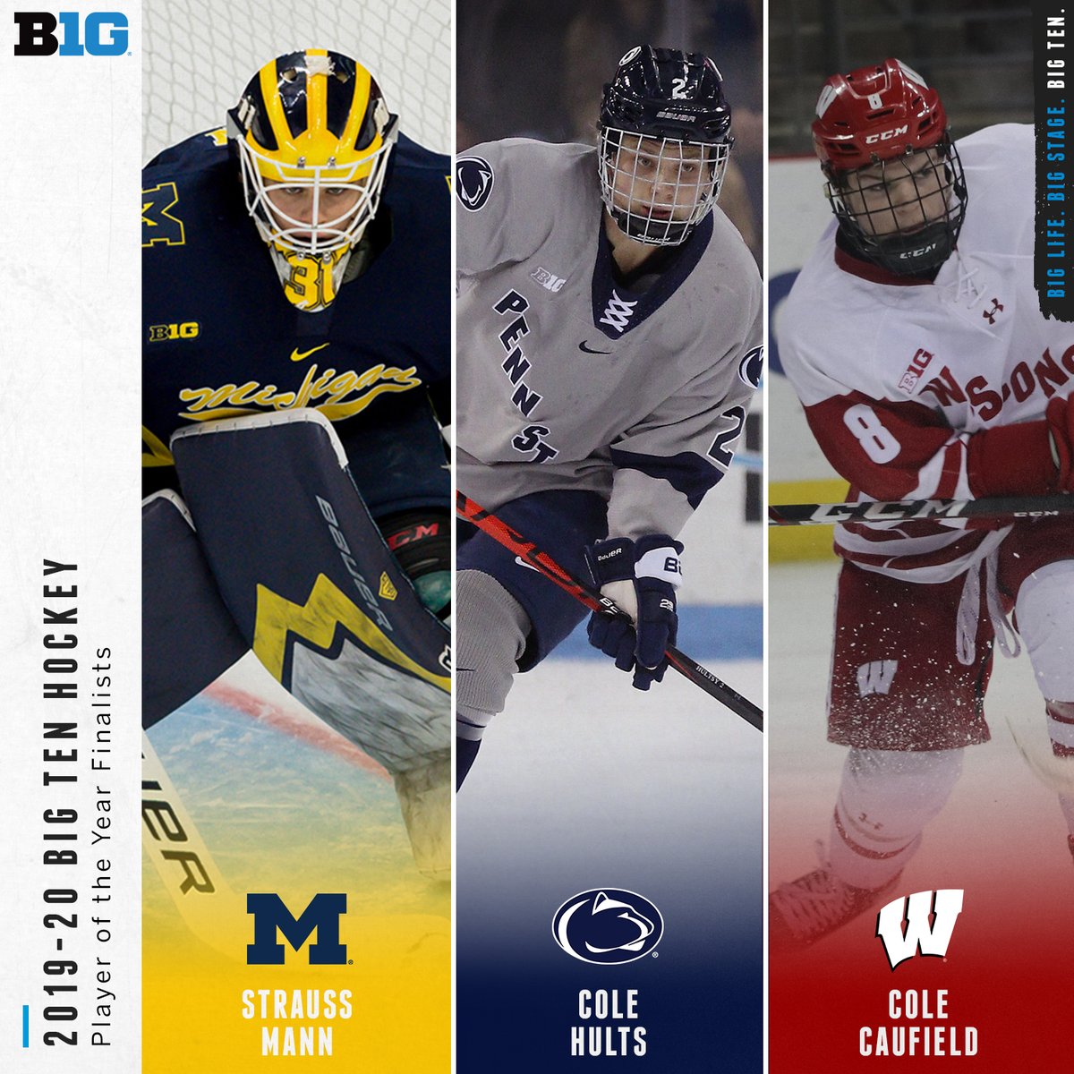 Big Ten Hockey tweet media