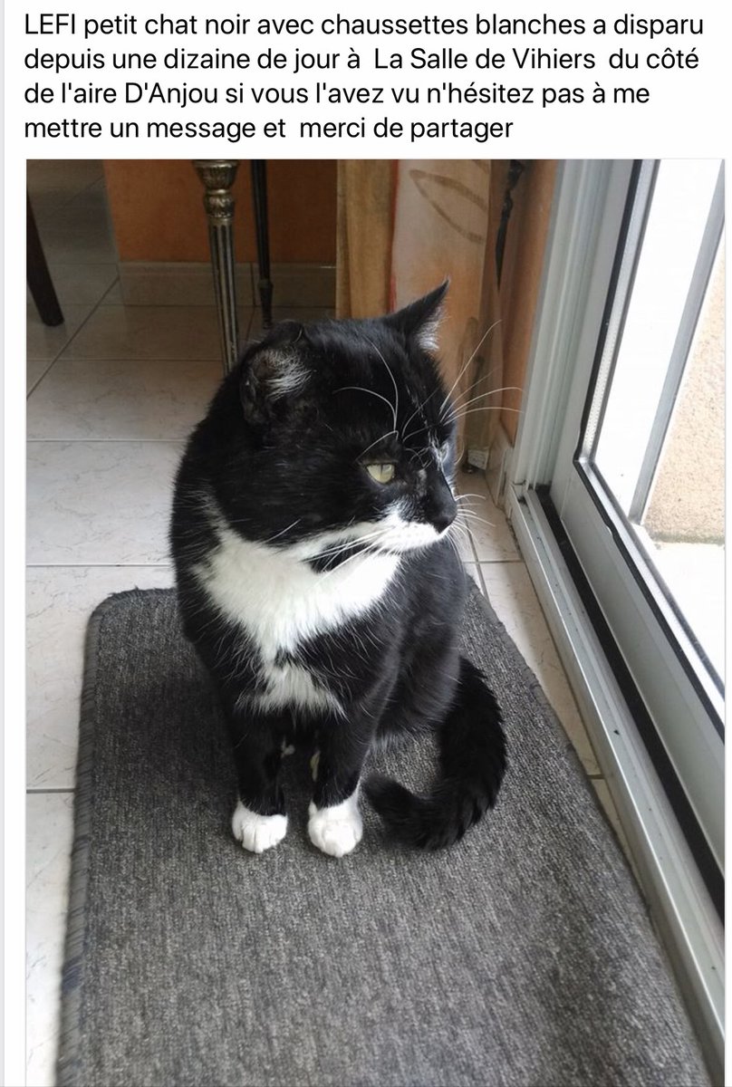 Kenav13's tweet image. Silvouplé les coupains, vous pouvez partager ? (La Salle de Vihiers, cé dans le 49)
Cé un potichat de la famille, de la tante de lhumaine 😿