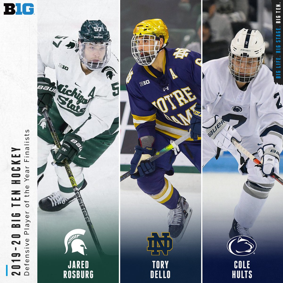 Big Ten Hockey tweet media