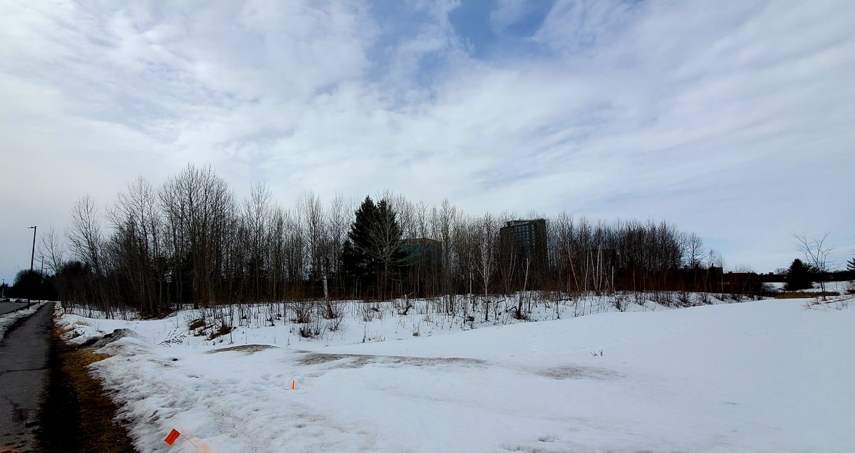 KrpProperties's tweet photo. Have you heard? The KRP portfolio is expanding! Come check out the site at 2707 Solandt Rd the morning of April 22 while picking up some gardening supplies ππ§β»οΈ
#KanataNorth #MoreThanJustSpace #KRPdifference https://t.co/00NRQeUVBf