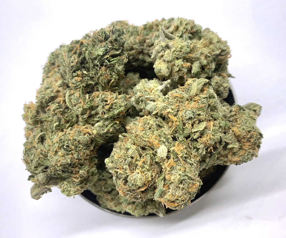 Venice Connection tweet media