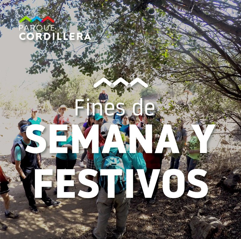 redesambiental's tweet photo. No dejes de aprender sobre montañismo con los talleres de trekking de @AsocParques 

Son todos los fines de semana y feriados de 9.00 a 13.00 horas.

Solo debes inscribirte en su página web https://t.co/HdYif8qYHO https://t.co/mL32CZM6kQ