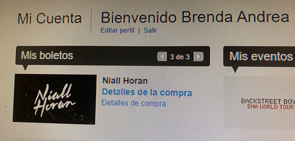 brenandybsb_1d's tweet image. Ya #1Ds  creen que despilfarro dinero 💔😭💔 #LouisTomlinsonWorldTour2020