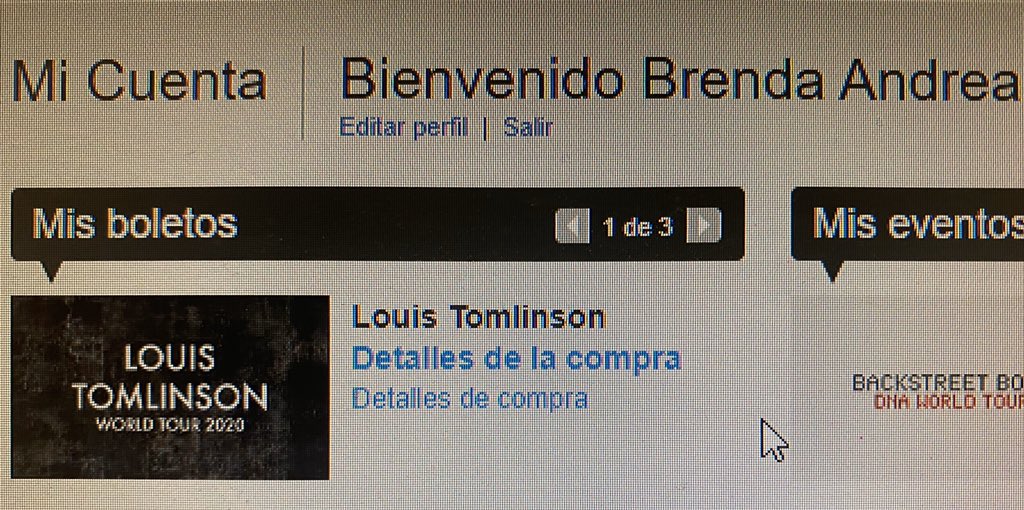 brenandybsb_1d's tweet image. Ya #1Ds  creen que despilfarro dinero 💔😭💔 #LouisTomlinsonWorldTour2020