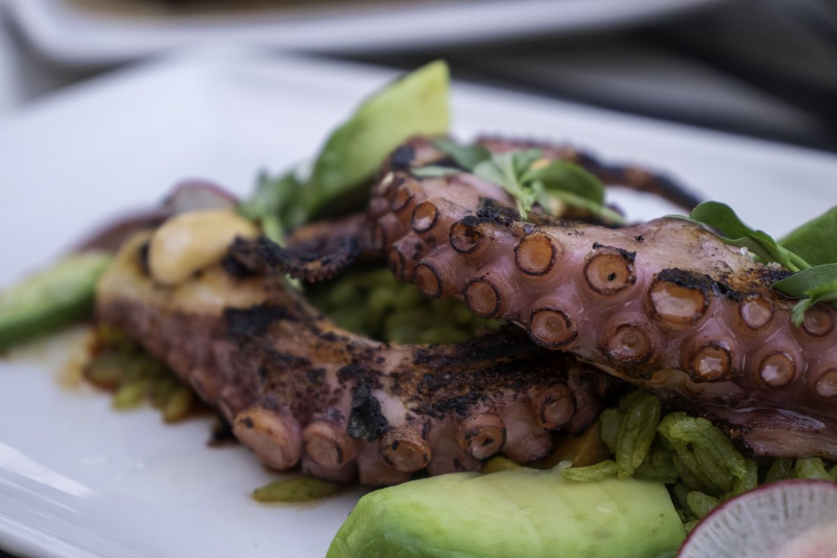 Have you tried our Pulpo a la Diablo yet? Come in and see how tender and flavorful our grilled octopus is! 🐙