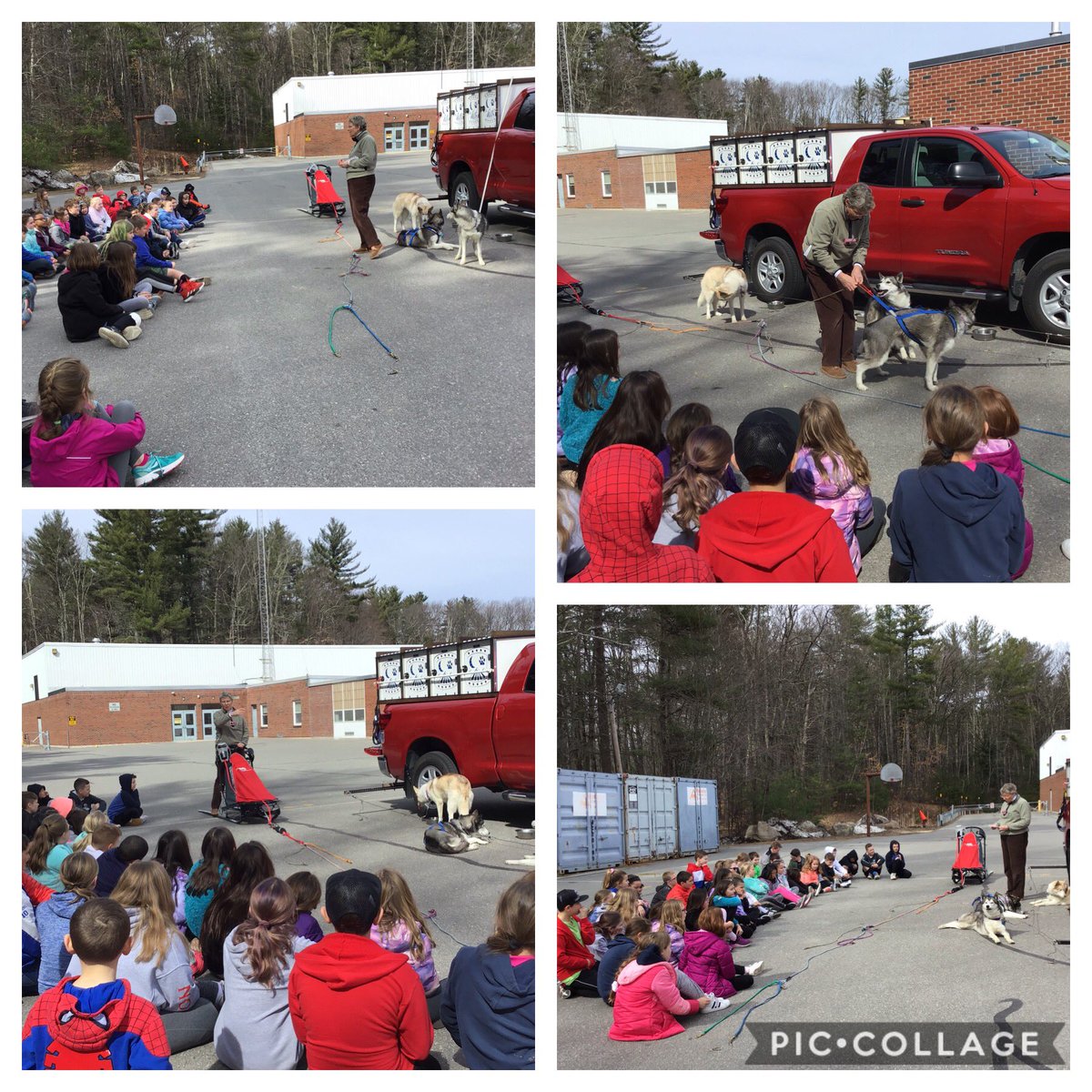 NES_Library's tweet photo. Fourth grade learns about Siberian Huskies! Thank you, Gail, for sharing your knowledge and your dogs. https://t.co/cGOXDedWZf