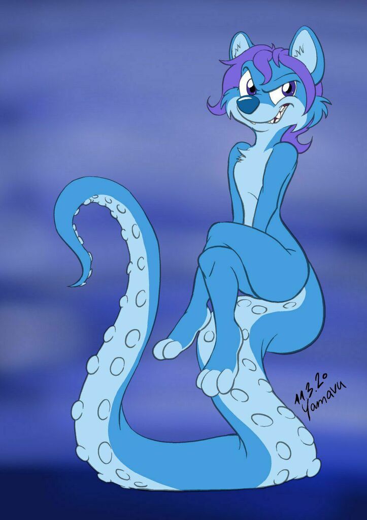 yamavu's tweet photo. Mischievous little tentacle fret
#lilblue #ferret #tentacle https://t.co/Af8gxBUNU3