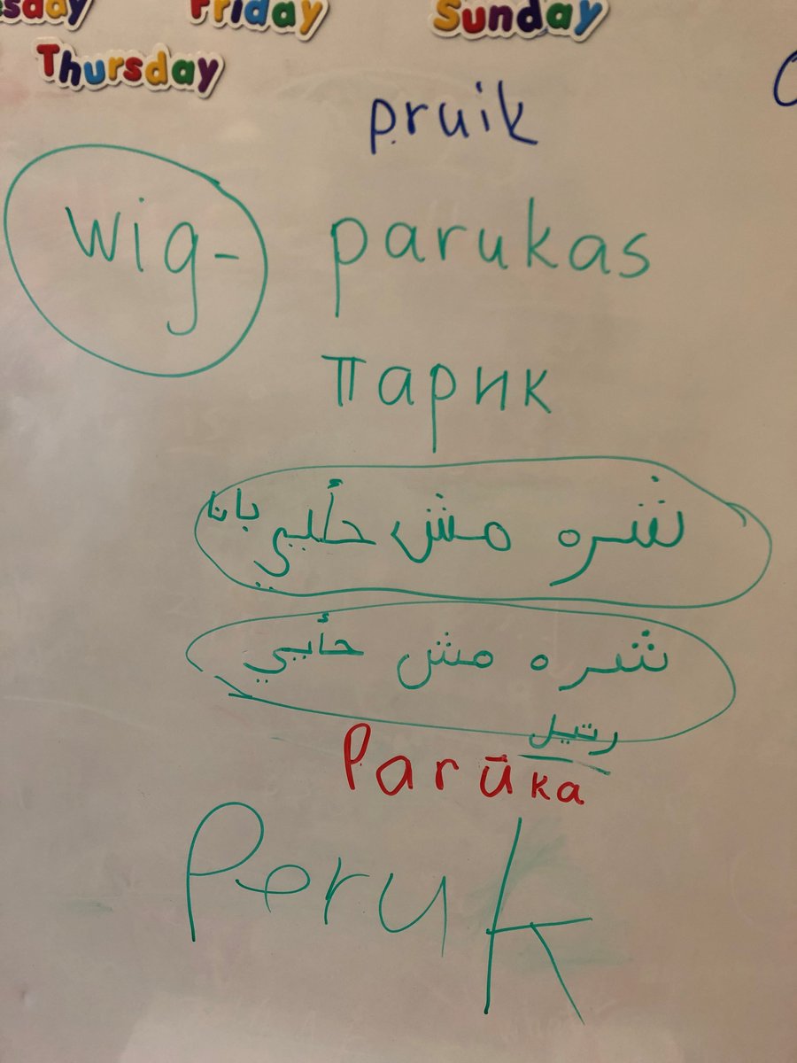 Using all our home languages in the English class and noticing that the word 'wig' looks and sounds similar in so many languages but not in English. #multilingualclassroom #homelanguages #languagediversity