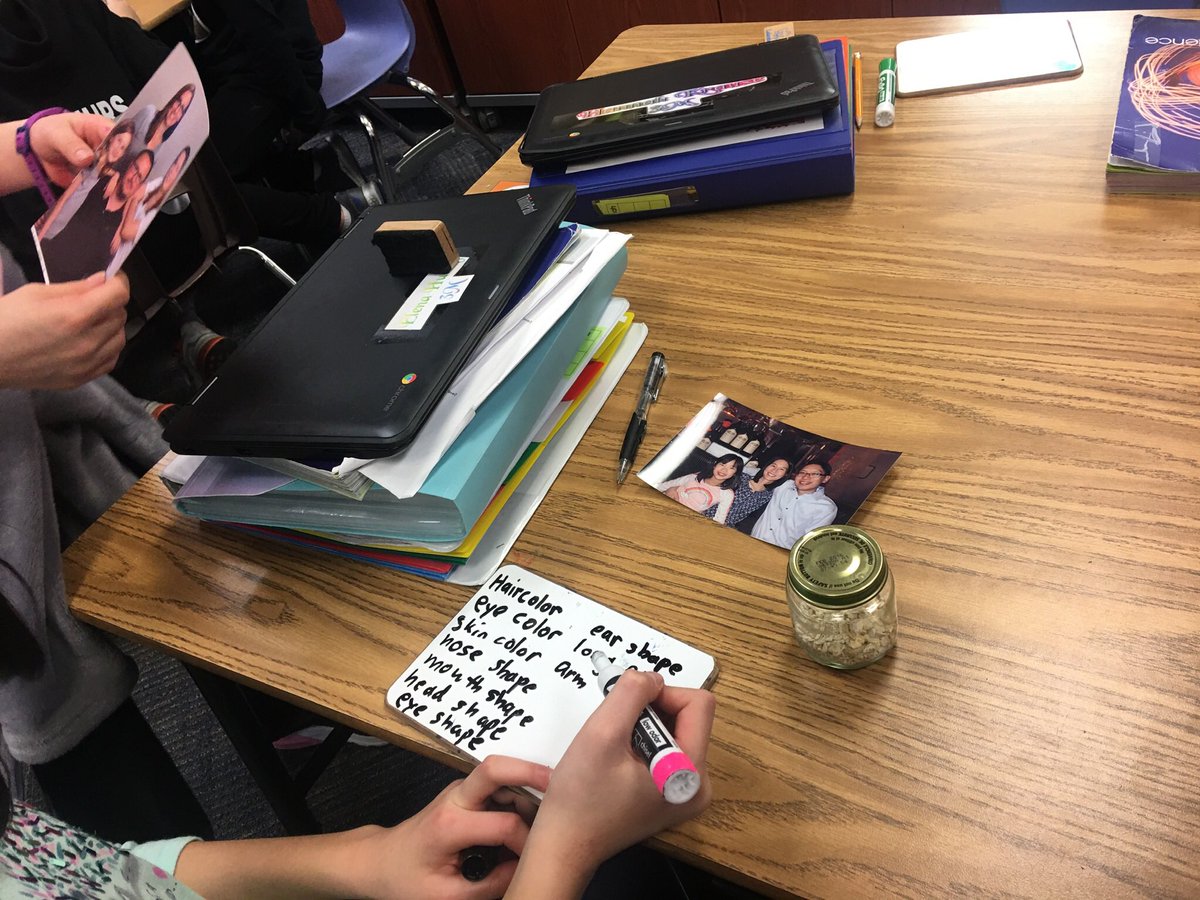 MrsRokosD53's tweet photo. What traits did we inherit from our parents? 3rd graders brought in family photos and analyzed traits they inherited when they were born! #d53learns https://t.co/u6g55akPrg