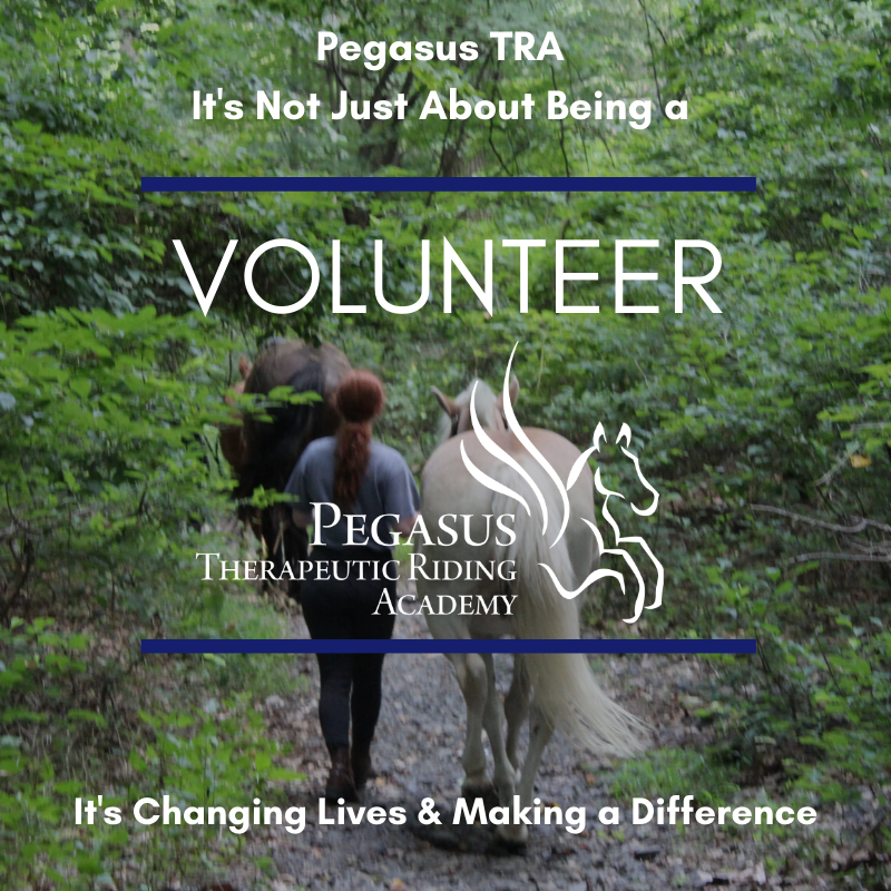 We're looking for volunteers! Saturday, March 14th 10:30am - 12pm is our next volunteer orientation.  We have amazing riders &amp; wonderful horses that need your help to make lessons happen at Pegasus.  Volunteer your time &amp; make a difference at Pegasus TRA!  pegasusridingacademy.com/volunteer-with…