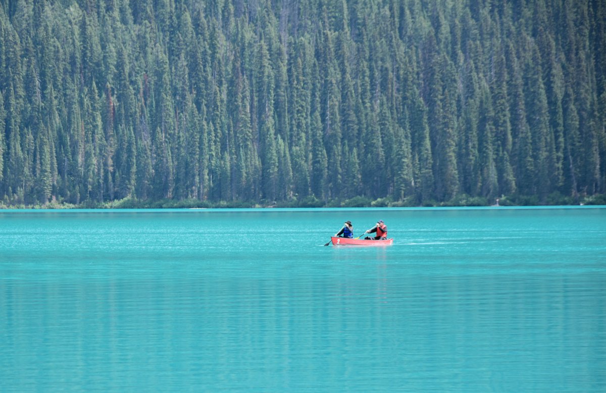 “The little lake you love is the biggest ocean for you!” Mehmet Murat Ildan

📸@paulbessonpanorama
#livetheadventure #discovercanadatours #emeraldlake