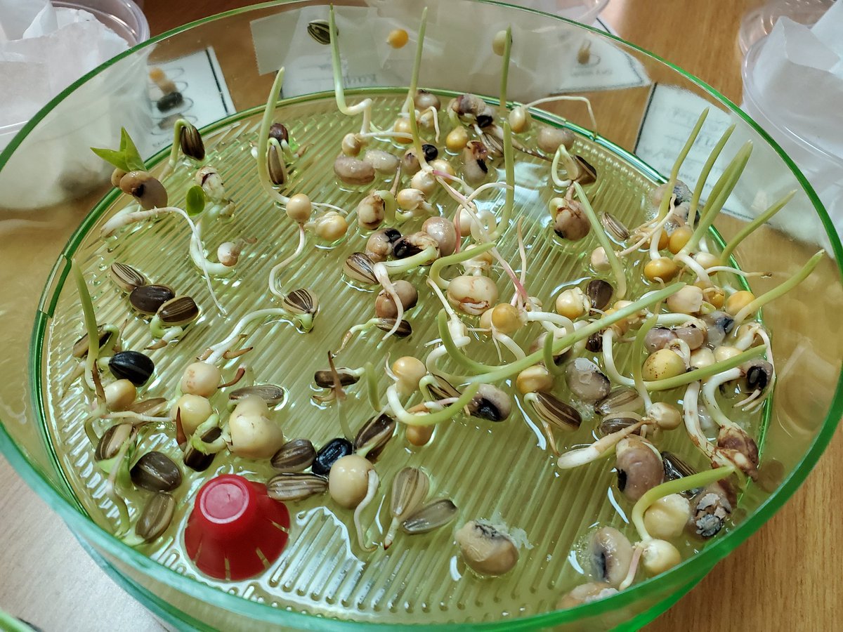 Mrs. Bognetti tweet media