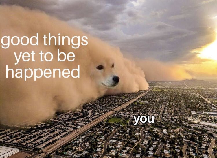 RespectfulMemes's tweet photo. https://t.co/Zc6CVCusxS