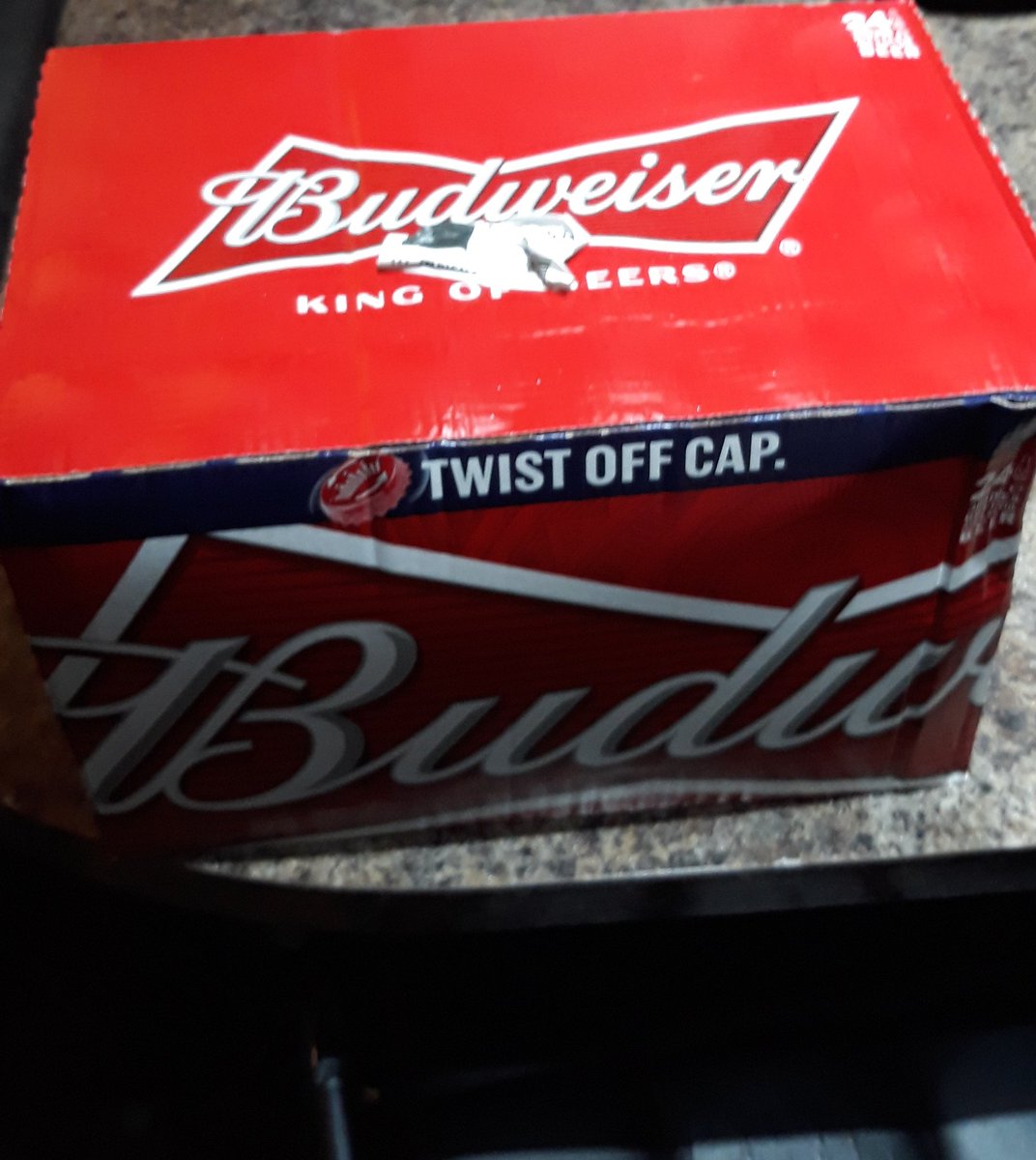 GaryMar05589212's tweet photo. My one day self isolation kit has arrived #stickyourtoiletrollupyourA**e #budweiser #onlyonewaytogo #coronavirus https://t.co/V45kZy6gIv