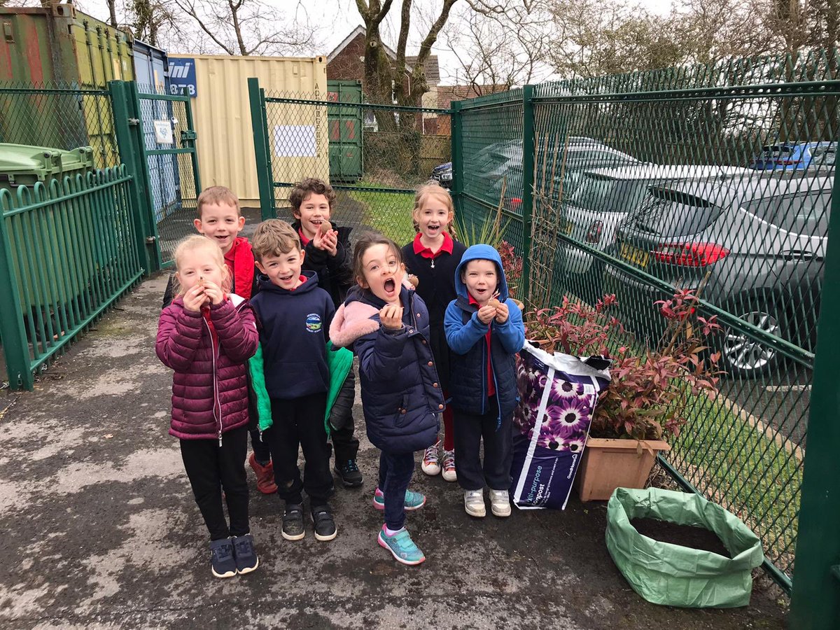 Hendrefoilan's tweet photo. Year 2 enjoyed planting potatoes today @potatoes4school #hdfp2 https://t.co/559MZ8CRD8