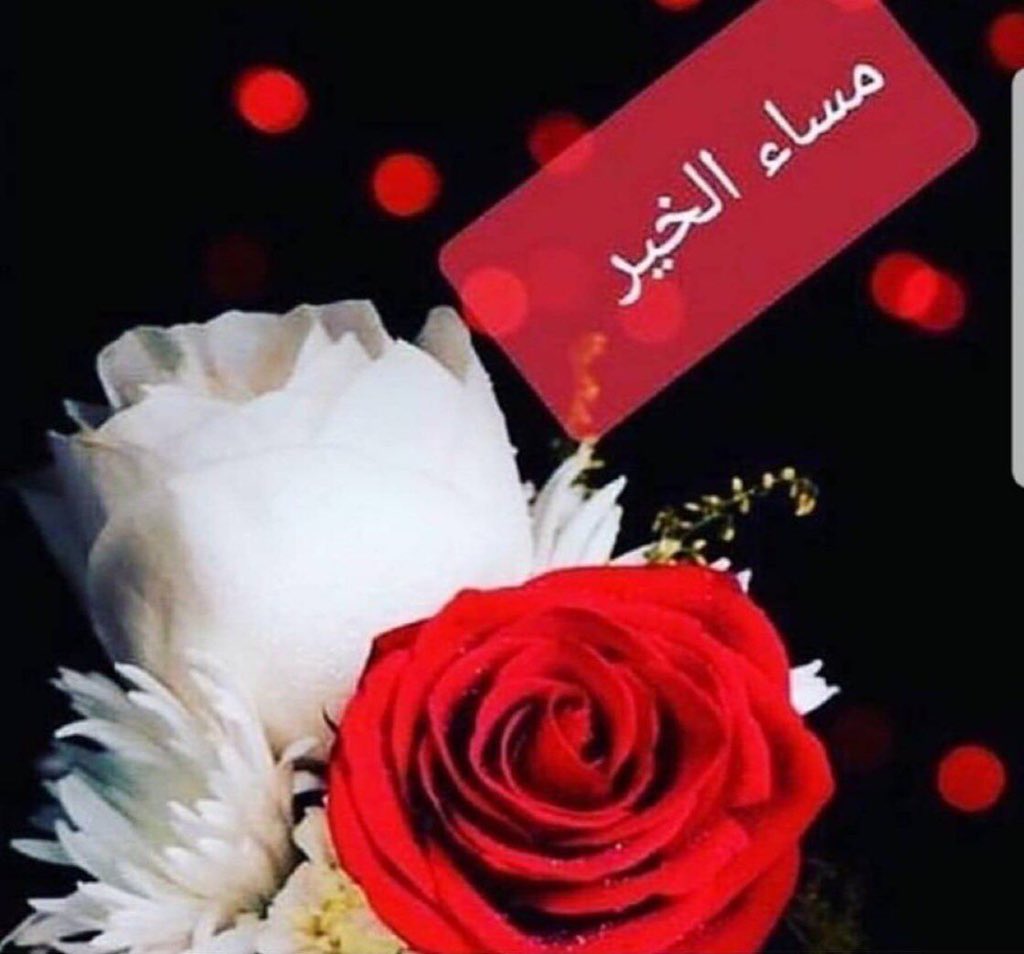 sfloo201's tweet photo. لبى المساء لا جاک شخص تغليه
     يقول مسيت بالخير يا الحب كله

وأقول مساء النور يا روح مغليه
     لبى المساء لا جمع  ،،، خلن بخله💙F https://t.co/e8czUvuJ1o