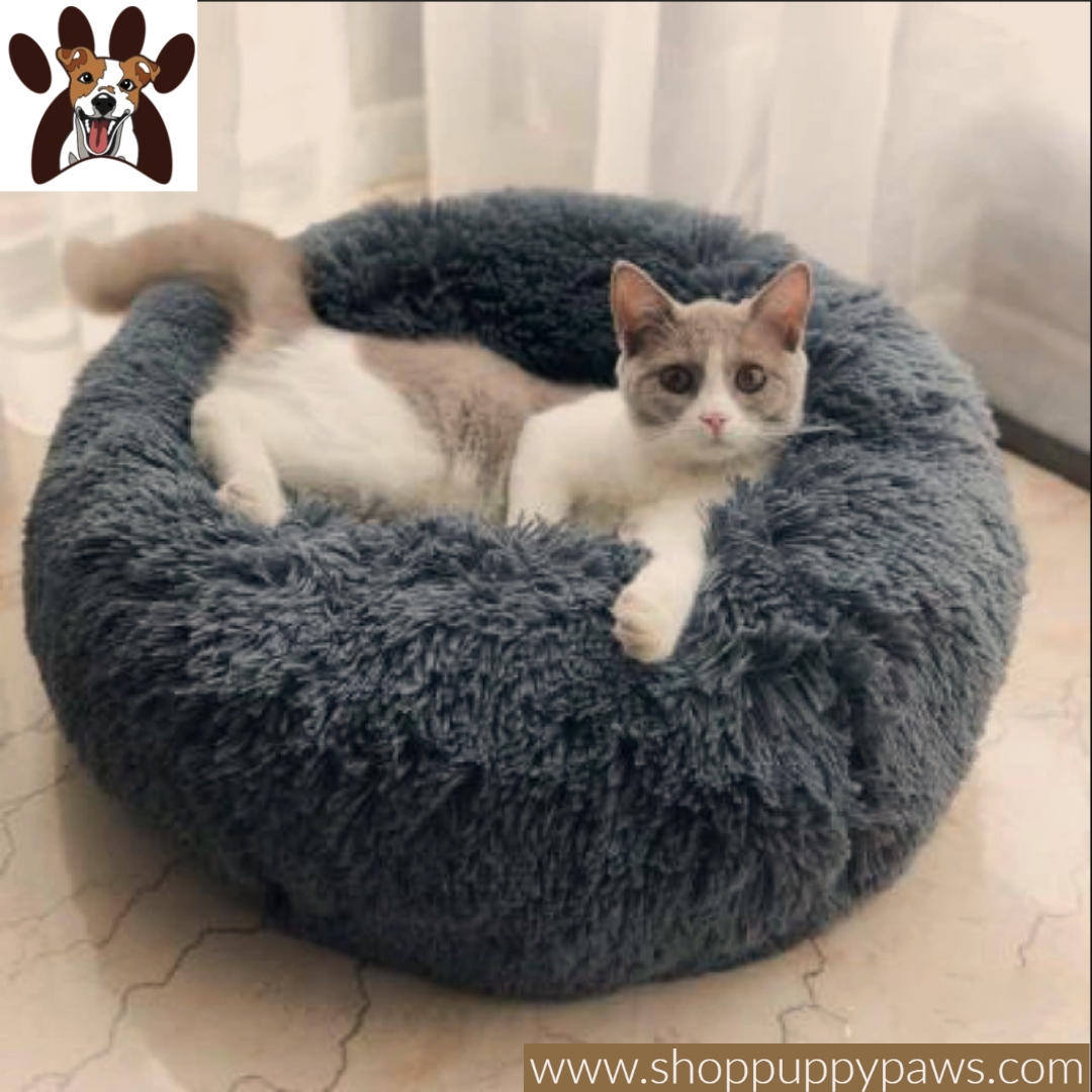 shoppuppypaws's tweet photo. Dog Bed Comfortable Donut Cuddler: This comfy round bed has deep wall beds that provide the perfect getaway for your lovely pet to relax in comfort and nice style. Buy Now 👇👇

https://t.co/IUAM8QntWf

#shoppuppypaws #bedhouse #pethouse #catbedhouse #hoopetcathouse #puppiesbed https://t.co/xAqMrByMqY