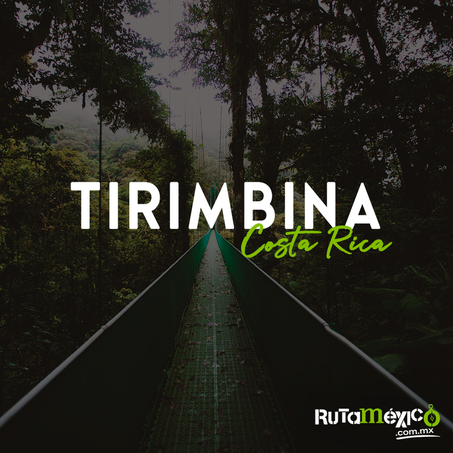 ORutaMexico's tweet photo. El exuberante bosque de #Tirimbina brinda increíbles actividades de ecoturismo, y en el 2001 esta zona fuera declarada Refugio de Vida Silvestre Privado. 

#WeLoveTraveling
🔗https://t.co/l0mOndMDfN
📱Whatsapp: (442) 350 4324 https://t.co/JwKiMiuxpb