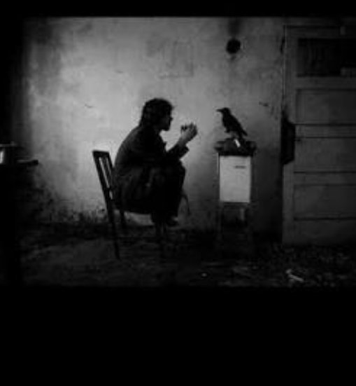 مَآلِي الْقُلُوبِ جَفَ حِبْرُهآ ..مآلِي الْقَصَآئِدِ تُنْثَرُ  لَآ لِأَحَدْ
مَآلِي الحَياةِ غآبَ طَعْمُهآ ..مآلِي أرى ضِباعاًً في ثوبِ الاسدْ..!